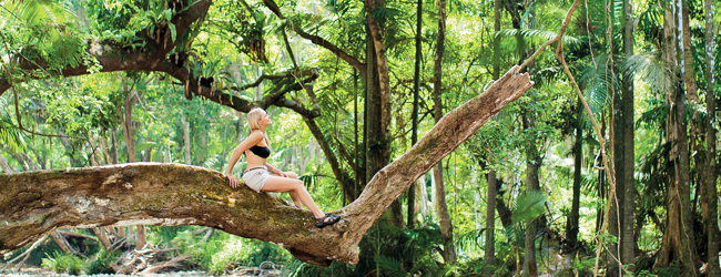 LISA-Study-Abroad-Englisch-Cairns-rainforest-trees-excursion-australia