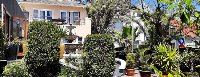 LISA-Sprachreisen-Erwachsene-Englisch-Suedafrika-Kapstadt-Green-Point-Sprachschule-Hof-Pflanzen LISA-Sprachreisen-Erwachsene-Englisch-Suedafrika-Kapstadt-Green-Point-Sprachschule-Hof-Pflanzen
