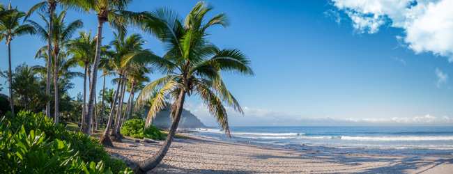 Tropischer Strand auf La Réunion – Entdecke Paradiesmomente mit LISA! Sprachreisen Traumhafter Strand mit Palmen auf La Réunion, ideal für Entspannung und Abenteuer mit LISA! Sprachreisen