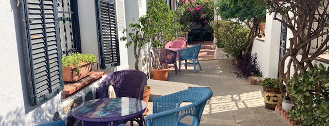 Perfekte Lernatmosspähre an unserer Sprachschule Spanisch in Malaga Schöner Innenhof mit Pflanzen und Stühlen an der LISA! Sprachschule in Malaga